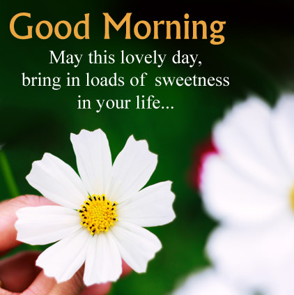 Good morning wishes 