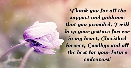 Thank you and goodbye quotes
