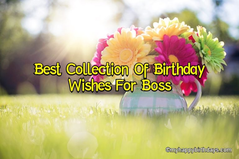 Happy Birthday Wishes For Boss, Messages, Status, Quotes