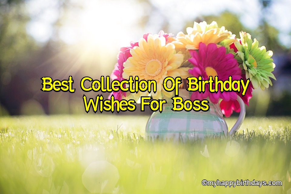 Happy Birthday Wishes For Boss, Messages, Status, Quotes