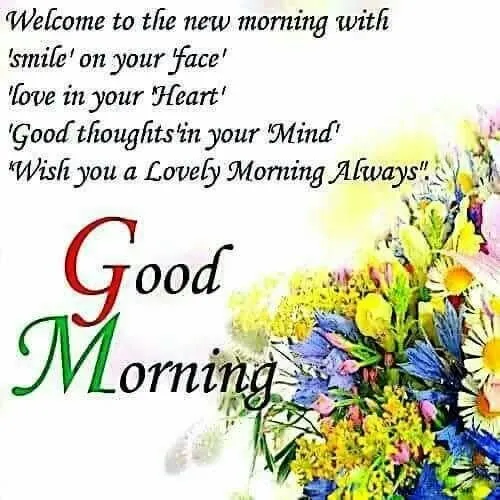 224 Best Good Morning Wishes Messages Quotes Images