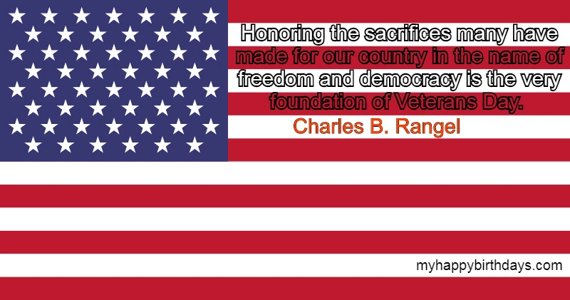 American flag with veterans day quote 1