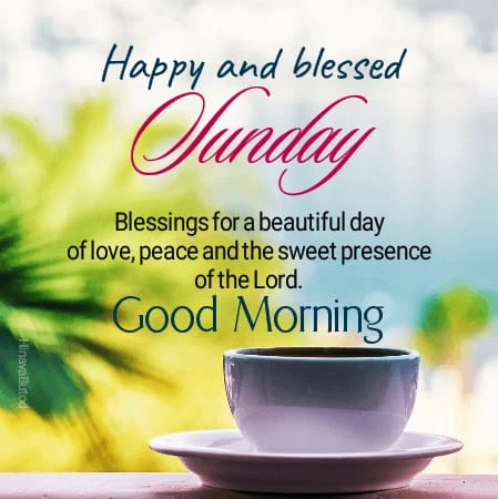 happy and blessed Sunday to all
