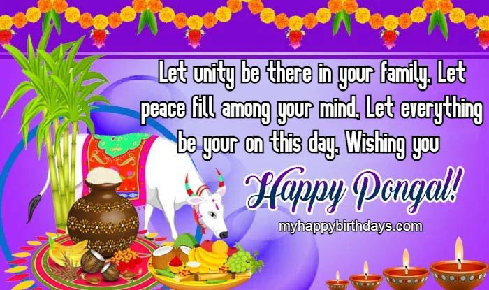 happy pongal to all