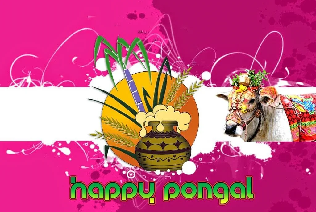 pongal images photos 