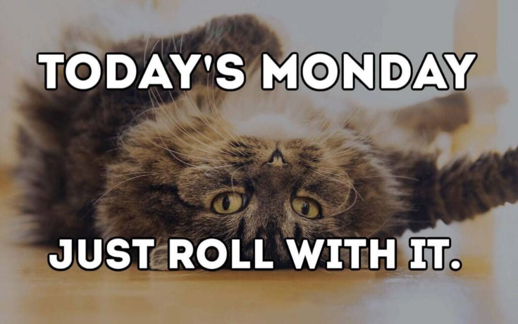 110 Best Funny Happy Monday Memes To Begin Your Day 110 Best Funny Happy Monday Memes To Begin Your Day