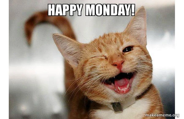 Cat with wink Monday meme 