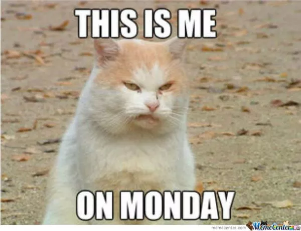 this is me- at Monday meme