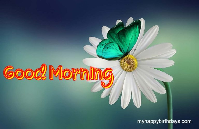 200+ Romantic Good Morning Wishes With Roses, Flowers (HD)