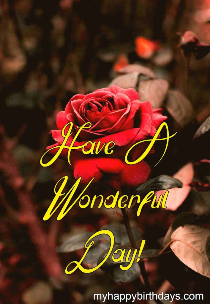 have a wonderful day
