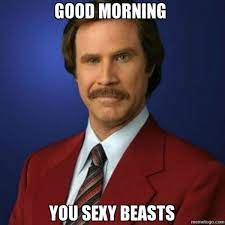 Good Morning You Sexy Beast Meme