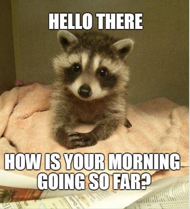 Cute and Funny Morning Memes