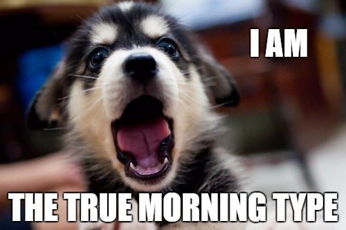 Morning Meme for Friends
