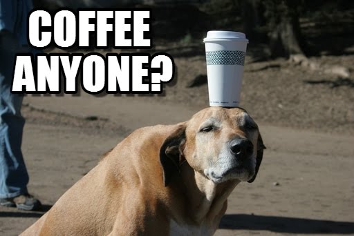 Coffee Anyone Morning Funny Memes