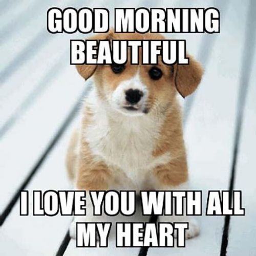 Good Morning memes For Her