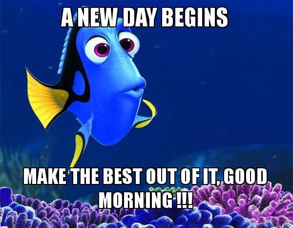 Funny Morning Memes for Her