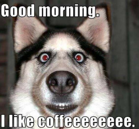 123 Top Funny Good Morning Memes To Make You Laugh