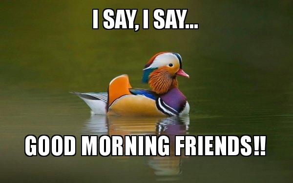 Good Morning Meme For Friends