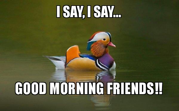 Morning Memes for Friends