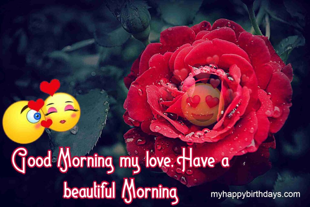 Good Morning To My Love Rose