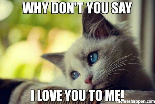 Why don't you say I love you to me meme