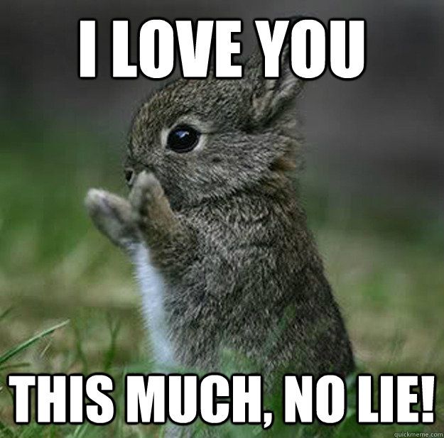 121 Best Funny I Love You Memes For Her Him 21 121 Best Funny I Love You Memes For Her Him 21