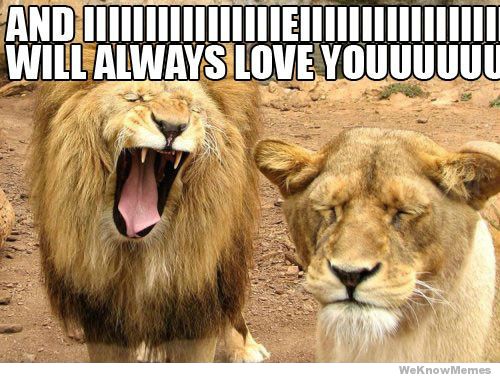 And I love you meme