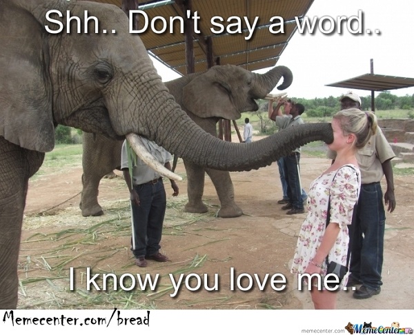 I love you and I will never let you go meme