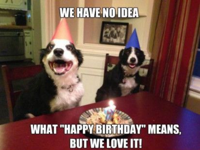 Funny Happy Birthday Dog Memes