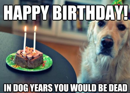 Happy Birthday Dog Meme 2