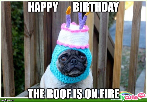 Happy Birthday Dog Meme 3