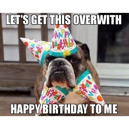 Happy Birthday Dog Meme 4