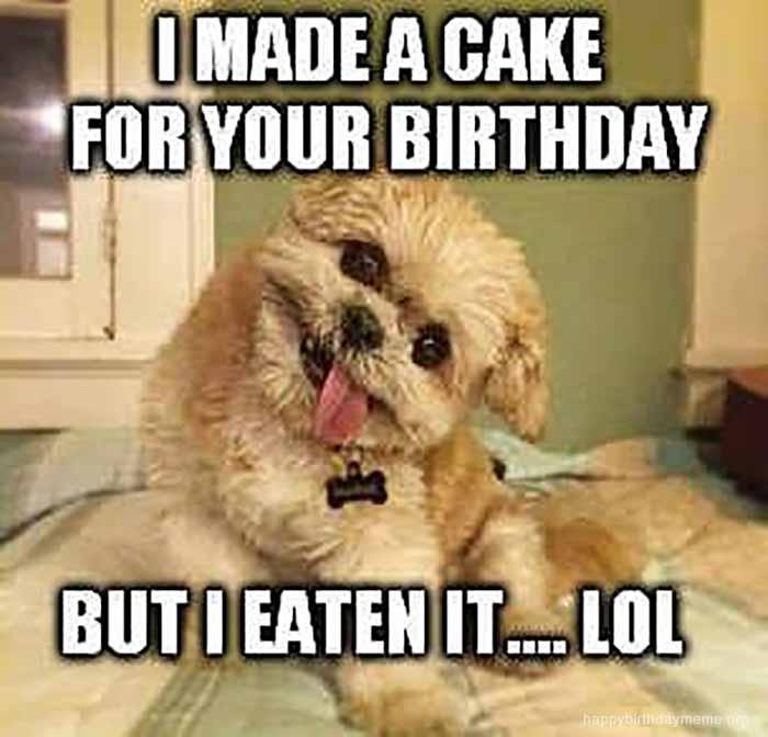 Happy Birthday Dog Meme 5