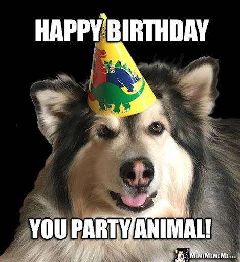 Happy Birthday Dog Meme 6