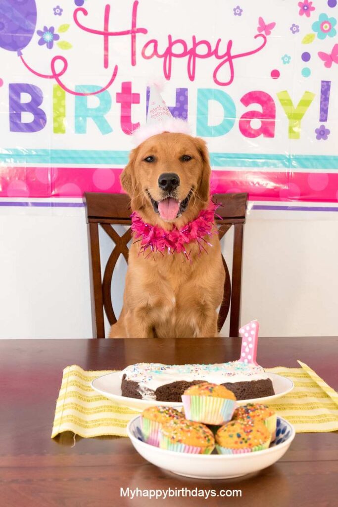 Happy Birthday Dog Wishes