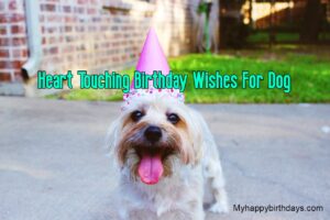 Heart Touching Happy Birthday Dog Wishes