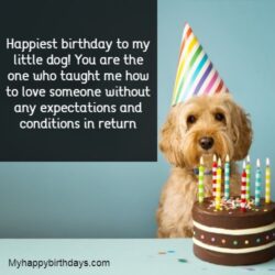 102 Happy Birthday Dog Wishes | Cute Doggie Birthday Wishes