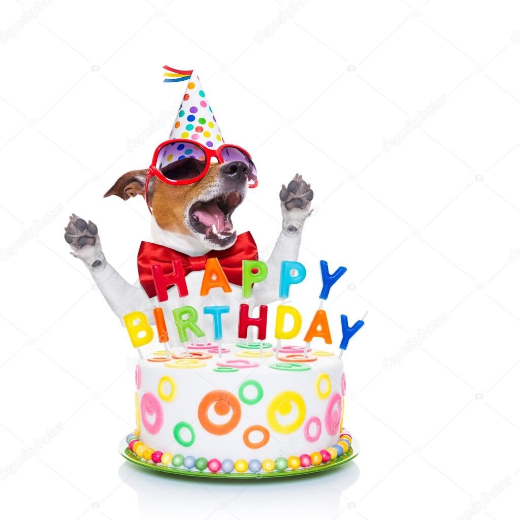 Doggies Birthday Wishes