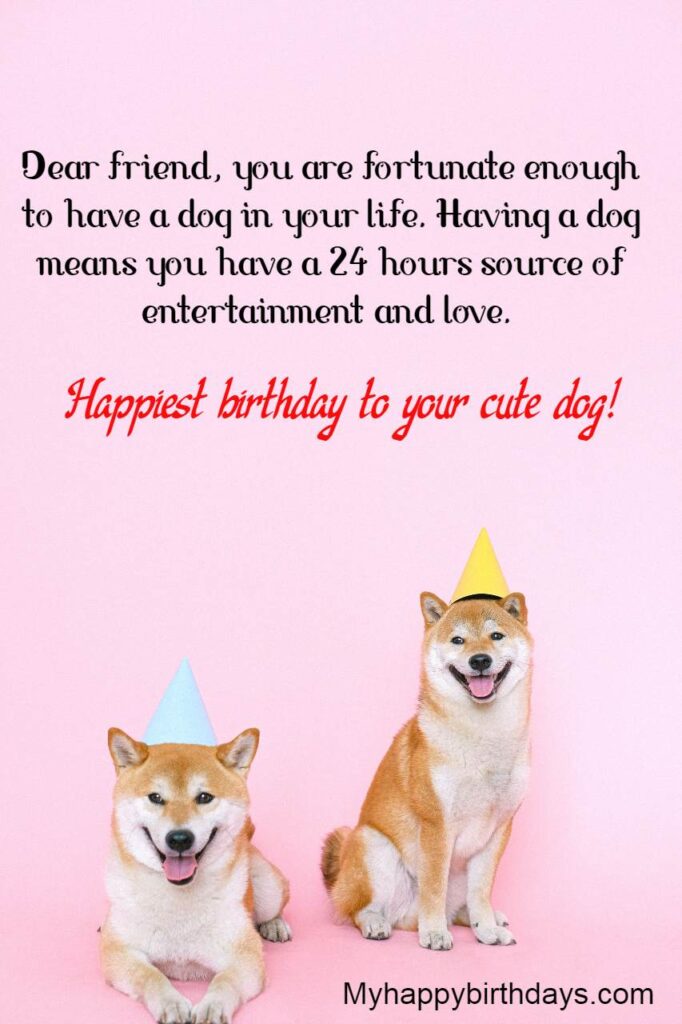 Birthday Wishes For A Friend’s Dog