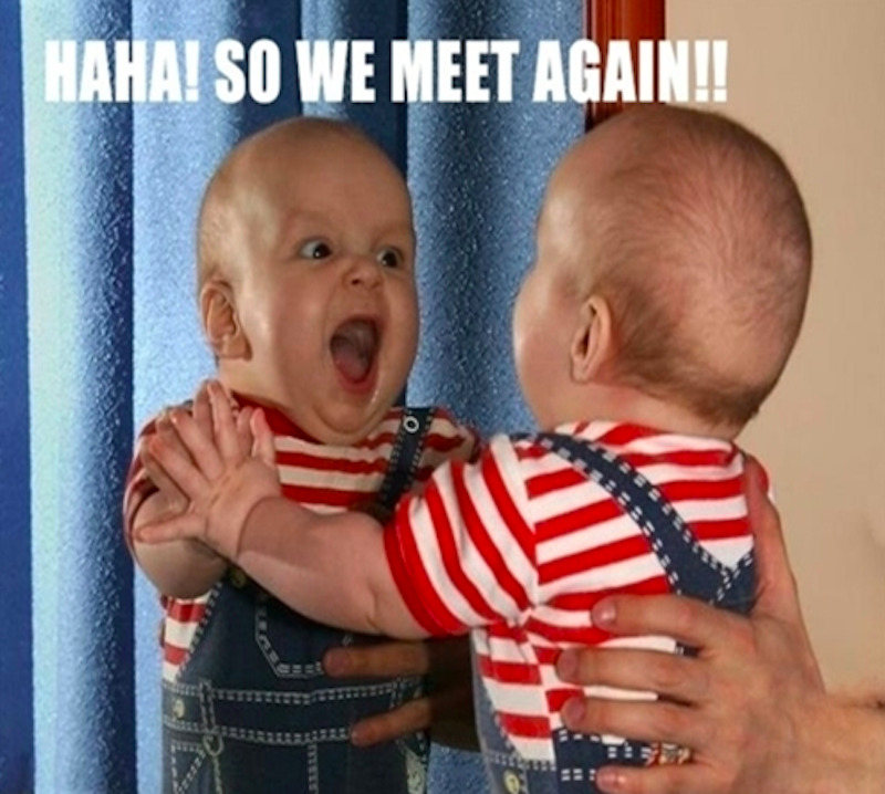 memes kid friendly
