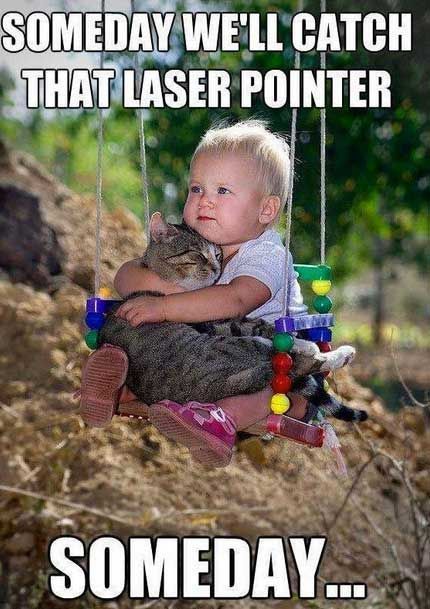 Funny Kid Memes 7