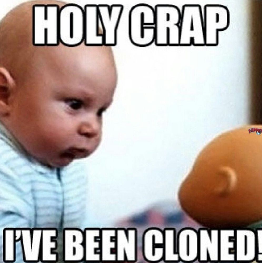 Funny Memes For Kids 13