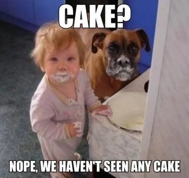 funny memes for 10 year olds