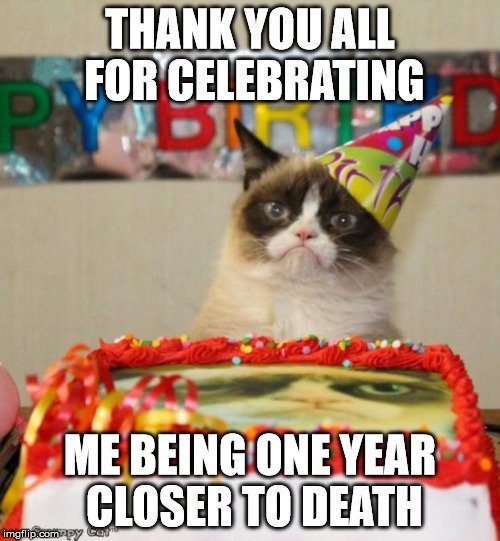 Cat Meme For Birthday Wishes