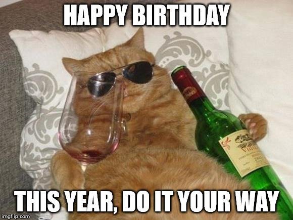 Happy Birthday Cat Memes