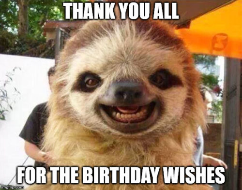 250 Exceptionally Hilarious Funny Birthday Memes 21