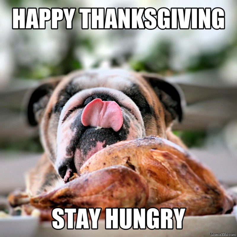 Happy Thanksgiving Meme 