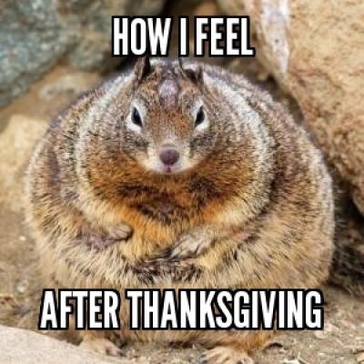 Happy Thanksgiving Meme 17
