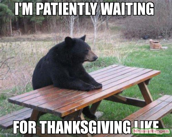 I'm Patiently Waiting For Thanksgiving Like