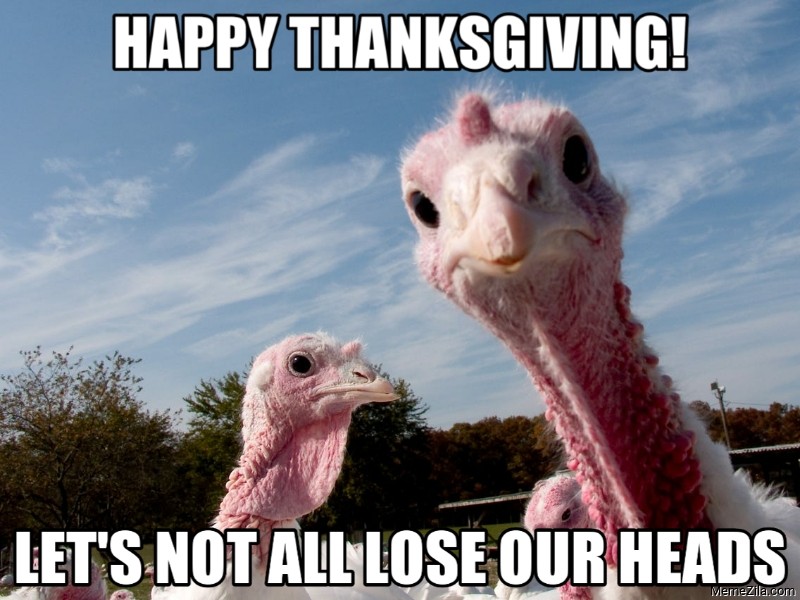 62 Happy Thanksgiving Memes To Celebrate The Day